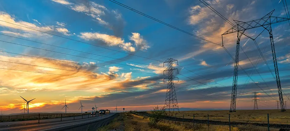Sun flower electric