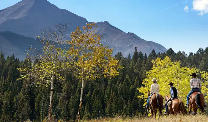 Casestudy State Of Montana