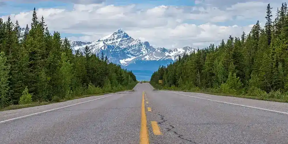 Cdot Featured